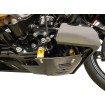 Placă de protecție împotriva loviturilor carbon gloss cu aur 2024 FLHX FLTRX THRASHIN TSC-3034-5 Placă de protecție împotriva loviturilor carbon gloss cu aur 2024 FLHX FLTRX THRASHIN TSC-3034-5 thumb