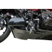 Placă de protecție din fibră de carbon pentru 2024 FLHX FLTRX THRASHIN TSC-3035-1 Placă de protecție din fibră de carbon pentru 2024 FLHX FLTRX THRASHIN TSC-3035-1 thumb