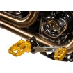 Scărițe AGGRESSOR GOLD THRASHIN TSC-2022-5-D Scărițe AGGRESSOR GOLD THRASHIN TSC-2022-5-D thumb