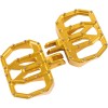 Mini suporturi pentru picioare Aggressor - crom - față - FL THRASHIN TSC-2031-5-SF