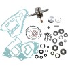 Set de reparație pentru partea inferioară a motorului SUZUKI VERTEX WR101-069