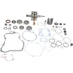 Set de reparație pentru partea inferioară a motorului YAMAHA VERTEX WR101-093 Set de reparație pentru partea inferioară a motorului YAMAHA VERTEX WR101-093 thumb