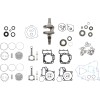 Set de reparație capitală motor KAWASAKI VERTEX WR101-165