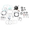 Set de reparație generală motor VERTEX WR101-181