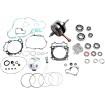 Set de reparație generală motor VERTEX WR101-181 Set de reparație generală motor VERTEX WR101-181 thumb