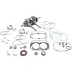 Set de reparație generală motor VERTEX WR101-185 Set de reparație generală motor VERTEX WR101-185 thumb