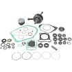 Set pentru reparația capitală a motorului VERTEX WR101-209 Set pentru reparația capitală a motorului VERTEX WR101-209 thumb