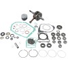 Set de reparație capitală motor VERTEX WR101-210