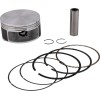 Set piston PRO REPLICA Ø 100.50 +0.50 VERTEX 23104050