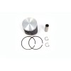 Set piston 24385A VERTEX 24385A