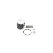 Set piston 24446B VERTEX 24446B Set piston 24446B VERTEX 24446B thumb