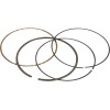 Set de segmenți de piston de rezervă VERTEX 590295000002