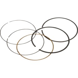 Set de segmenți de rezervă VERTEX 590377000001