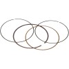 Set de segmenți de piston de rezervă VERTEX 590280000001