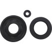 Simering ARCTIC CAT VERTEX 55176 Simering ARCTIC CAT VERTEX 55176 thumb