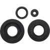 Simering SKI DOO VERTEX 55195