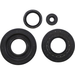 Simering SKI DOO VERTEX 55195 Simering SKI DOO VERTEX 55195
