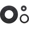 Simering SKI DOO VERTEX 55217