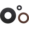 Simering POLARIS VERTEX 55225