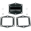 Sistem de supape V-FORCE 3 din fibră de carbon pentru înlocuire MOTO TASSINARI/VFORCE V305A Sistem de supape V-FORCE 3 din fibră de carbon pentru înlocuire MOTO TASSINARI/VFORCE V305A thumb