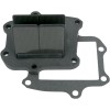 Sistem de supape V-FORCE 3 din fibră de carbon pentru înlocuire MOTO TASSINARI/VFORCE V321A