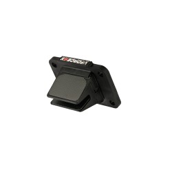 Supapă pentru stuf VFORCE4X KTM/HVA/GA MOTO TASSINARI/VFORCE V4X55 Supapă pentru stuf VFORCE4X KTM/HVA/GA MOTO TASSINARI/VFORCE V4X55