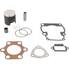 Set piston TP END KTS02-1.0 VINTCO KTS02-1.0