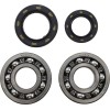 Set rulmenți principali KMB006 VINTCO KMB006