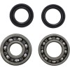 Set principal rulmenți KMB023 VINTCO KMB023