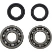Set principal rulmenți KMB023 VINTCO KMB023 thumb