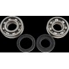 Set principal rulmenți KMB029 VINTCO KMB029