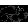 Set garnituri motor KEG066 VINTCO KEG066