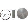 Set de pistoane din oțel forjat OEM înlocuitor / HONDA / dimensiune standard WOSSNER 8067DA