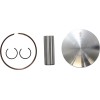 Set piston forjat din oțel pentru înlocuire de înaltă performanță / KAWASAKI / dimensiune +0,01 WOSSNER 8102DB
