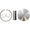 Set piston forjat din oțel piese de schimb pentru transmisie / YAMAHA / dimensiune +0,01 WOSSNER 8104DB