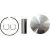 Set piston forjat din oțel piese de schimb pentru transmisie / HUSQVARNA / KTM / dimensiune +0,01 WOSSNER 8147DB