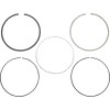 Set de segmenți pentru motor în patru timpi WOSSNER 955XSY-3