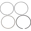 Set inele KTM WOSSNER TPR88.00/2