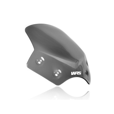 Parbriz sport R1200R dark S ALTELE BM046FS