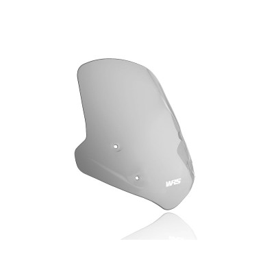 Parbriz standard R1250R SMO ALTE BM055F