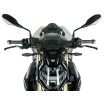 Parbriz touring S1000R fumuriu ALTE BM076F thumb