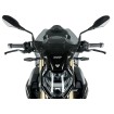 Parbriz touring S1000R dark ALTELE BM076FS thumb