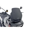 Parbriz sport HD PAN AMERIC ALTELE HD006NO Parbriz sport HD PAN AMERIC ALTELE HD006NO thumb