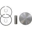 Set piston SEA 800 STD. WSM PERFORMACE PARTS 010-818K thumb