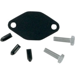 Placă de blocare pentru injecția de ulei WSM PERFORMACE PARTS 011-206 Placă de blocare pentru injecția de ulei WSM PERFORMACE PARTS 011-206