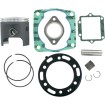 Set de reparație PLAT POL STD WSM PERFORMACE PARTS 54-306-10P Set de reparație PLAT POL STD WSM PERFORMACE PARTS 54-306-10P thumb