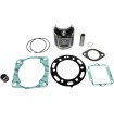 Set de reparație PLAT POL STD WSM PERFORMACE PARTS 54-306-10P Set de reparație PLAT POL STD WSM PERFORMACE PARTS 54-306-10P thumb