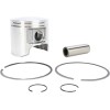 Set piston, POL STD WSM PERFORMACE PARTS 010-835K