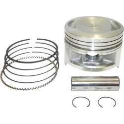 Set piston STD KAW 250 WSM PERFORMACE PARTS 50-252K Set piston STD KAW 250 WSM PERFORMACE PARTS 50-252K