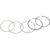 Set segmenti HON 300 WSM PERFORMACE PARTS 51-223